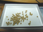 19d60d5f.jpg