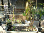 110a4170.jpg