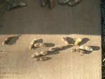 513c388f.jpg