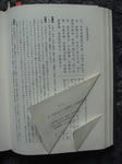 FI220_3E.JPG