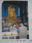 DSC05396.JPG
