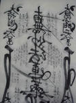 DSC02893.jpg