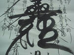 DSC05536.JPG