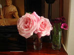 DSC05567.JPG