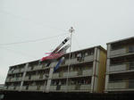 DSC05666.JPG