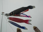 DSC05673.JPG
