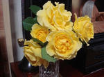 DSC05679.JPG
