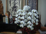DSC05848.JPG