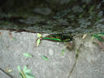 DSC06019.JPG