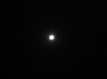DSC06227.JPG