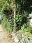 DSC06231.JPG
