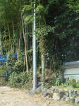 DSC06237.JPG