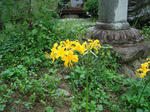 DSC06310.JPG