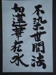 _ResizedDSC07084.jpg