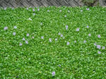 _ResizedDSC07076.jpg