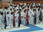 dd2009d6.jpeg