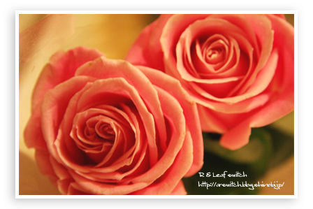 s-IMG_6847.png