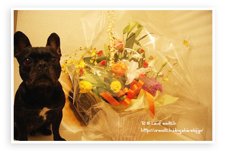 s-IMG_6851.png