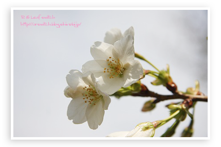 s-IMG_6889.png