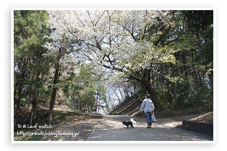 s-IMG_6939.png