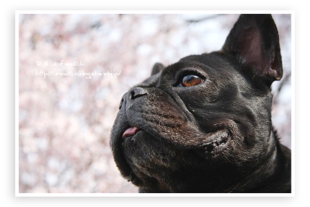 s-IMG_6989.png