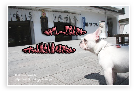 s-IMG_0115.png