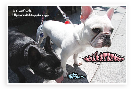 s-IMG_0116.png