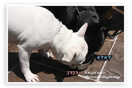 s-IMG_0206.png