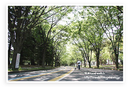 s-IMG_0239.png