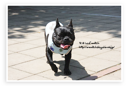 s-IMG_0249.png