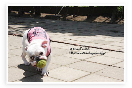 s-IMG_0269.png