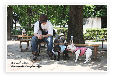 s-IMG_0274.png