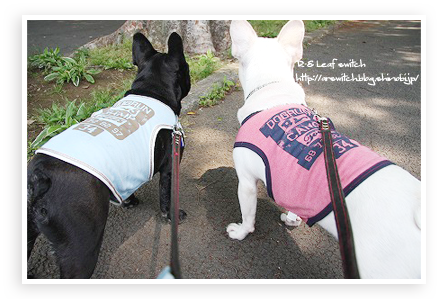 s-IMG_0282.png