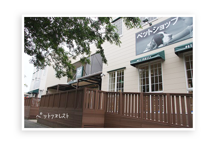 s-IMG_0362.png