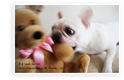 s-IMG_0063.png