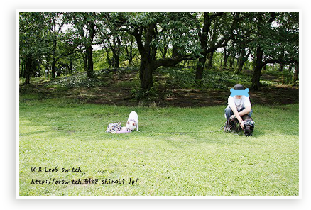 s-IMG_0794.png