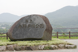 s-IMG_1019.png
