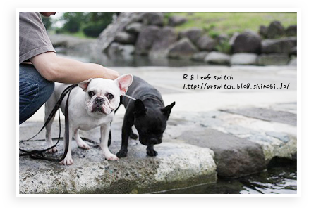 s-IMG_0930.png