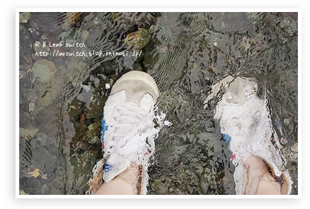 s-IMG_0956.png
