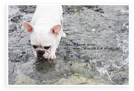 s-IMG_0931.png