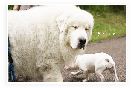 s-IMG_0990.png