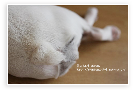 s-IMG_1127.png