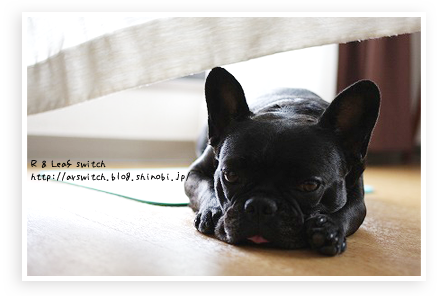 s-IMG_1249.png