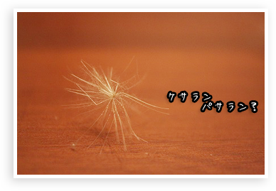s-IMG_1593.png
