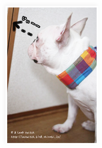 s-IMG_1619.png