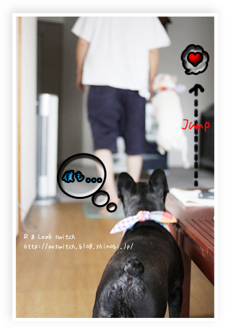 s-IMG_1627.png