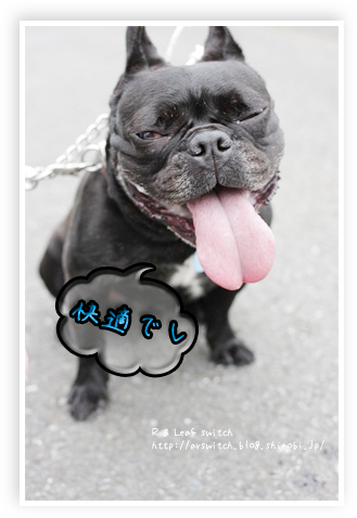 s-IMG_1646.png