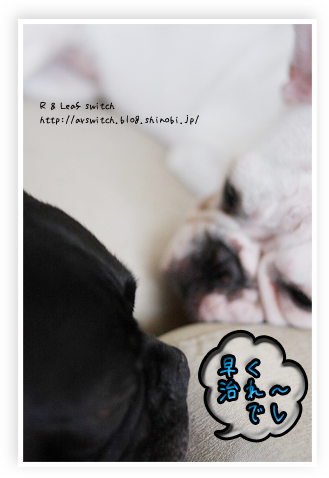 s-IMG_1716.png