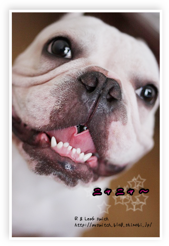 s-IMG_0740.png