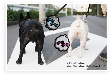 e676a1ff.png